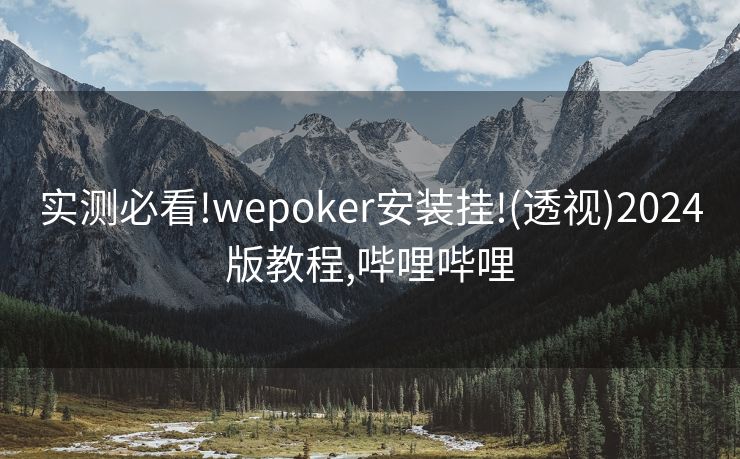 实测必看!wepoker安装挂!(透视)2024版教程,哔哩哔哩