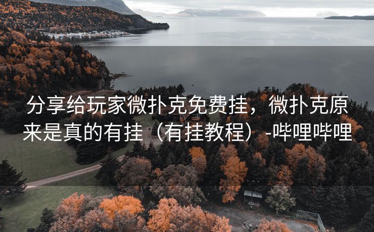 分享给玩家微扑克免费挂，微扑克原来是真的有挂（有挂教程）-哔哩哔哩
