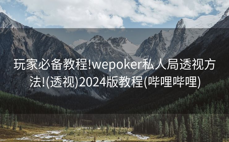 玩家必备教程!wepoker私人局透视方法!(透视)2024版教程(哔哩哔哩)