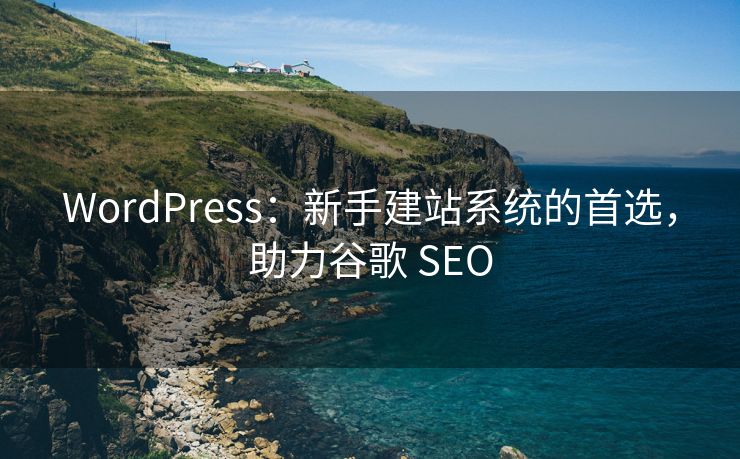 WordPress：新手建站系统的首选，助力谷歌 SEO