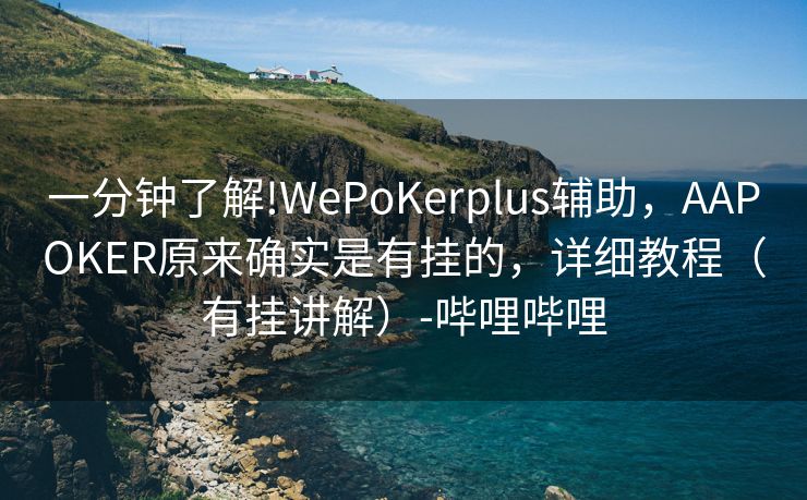 一分钟了解!WePoKerplus辅助，AAPOKER原来确实是有挂的，详细教程（有挂讲解）-哔哩哔哩