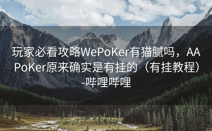 玩家必看攻略WePoKer有猫腻吗，AAPoKer原来确实是有挂的（有挂教程）-哔哩哔哩