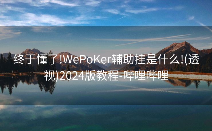 终于懂了!WePoKer辅助挂是什么!(透视)2024版教程-哔哩哔哩