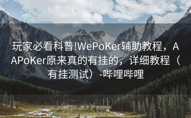 玩家必看科普!WePoKer辅助教程，AAPoKer原来真的有挂的，详细教程（有挂测试）-哔哩哔哩