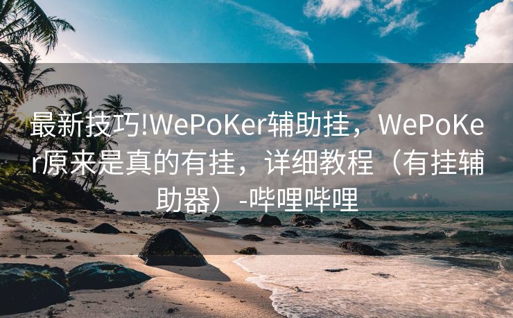 最新技巧!WePoKer辅助挂，WePoKer原来是真的有挂，详细教程（有挂辅助器）-哔哩哔哩