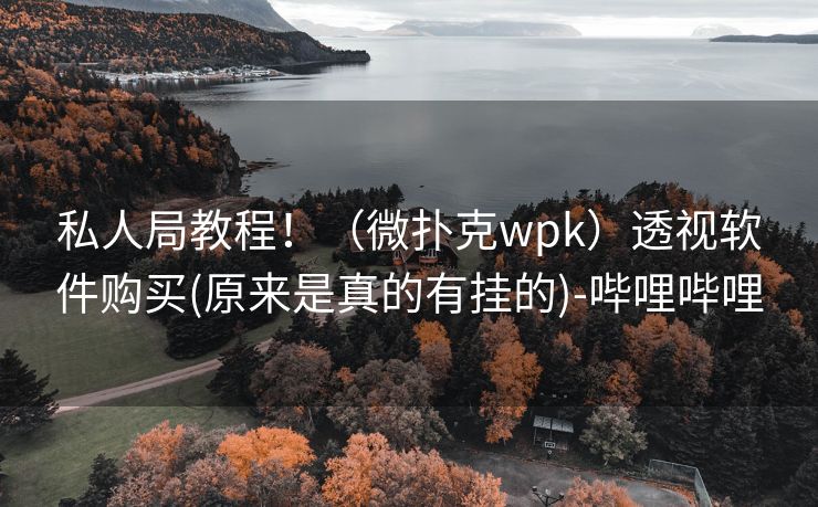私人局教程！（微扑克wpk）透视软件购买(原来是真的有挂的)-哔哩哔哩