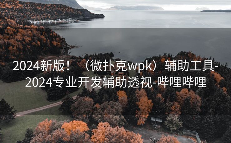 2024新版！（微扑克wpk）辅助工具-2024专业开发辅助透视-哔哩哔哩