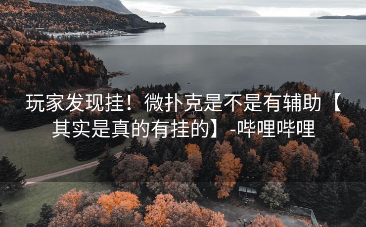 玩家发现挂！微扑克是不是有辅助【其实是真的有挂的】-哔哩哔哩