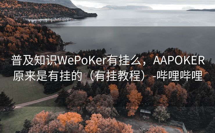 普及知识WePoKer有挂么，AAPOKER原来是有挂的（有挂教程）-哔哩哔哩