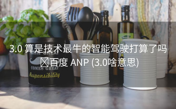 3.0 算是技术最牛的智能驾驶打算了吗 ​百度 ANP (3.0啥意思)