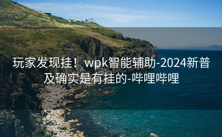 玩家发现挂！wpk智能辅助-2024新普及确实是有挂的-哔哩哔哩