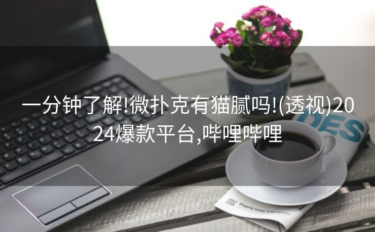 一分钟了解!微扑克有猫腻吗!(透视)2024爆款平台,哔哩哔哩