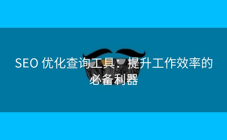 SEO 优化查询工具：提升工作效率的必备利器
