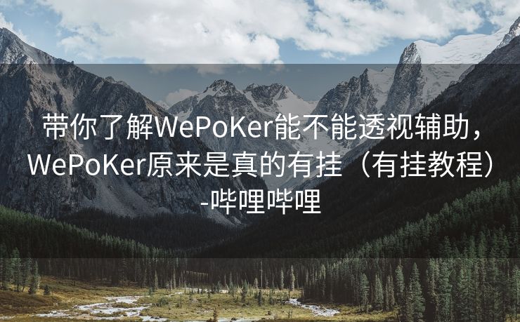 带你了解WePoKer能不能透视辅助，WePoKer原来是真的有挂（有挂教程）-哔哩哔哩