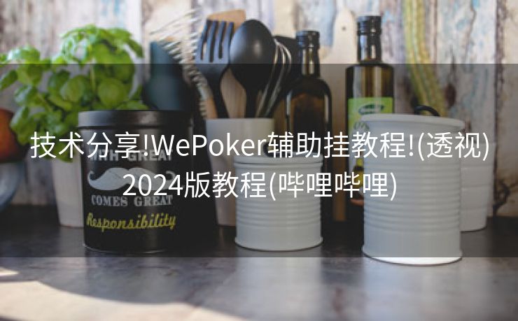 技术分享!WePoker辅助挂教程!(透视)2024版教程(哔哩哔哩)