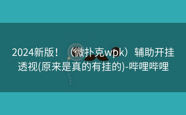 2024新版！（微扑克wpk）辅助开挂透视(原来是真的有挂的)-哔哩哔哩