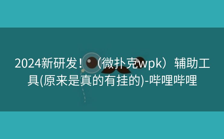 2024新研发！（微扑克wpk）辅助工具(原来是真的有挂的)-哔哩哔哩