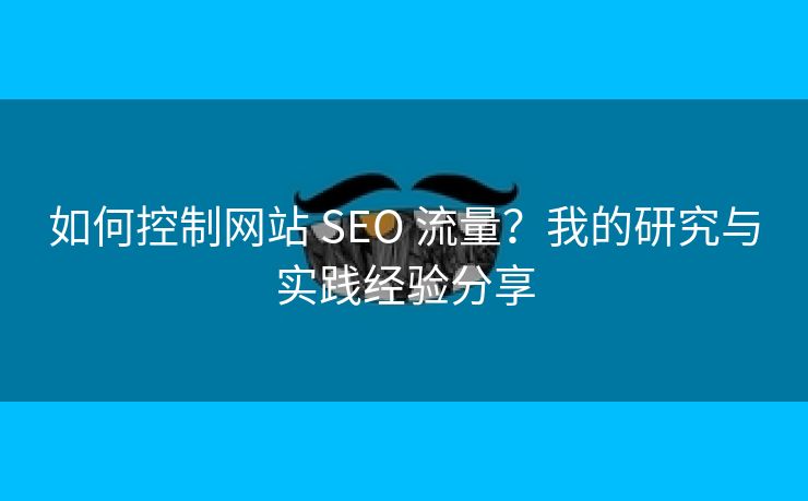 如何控制网站 SEO 流量？我的研究与实践经验分享
