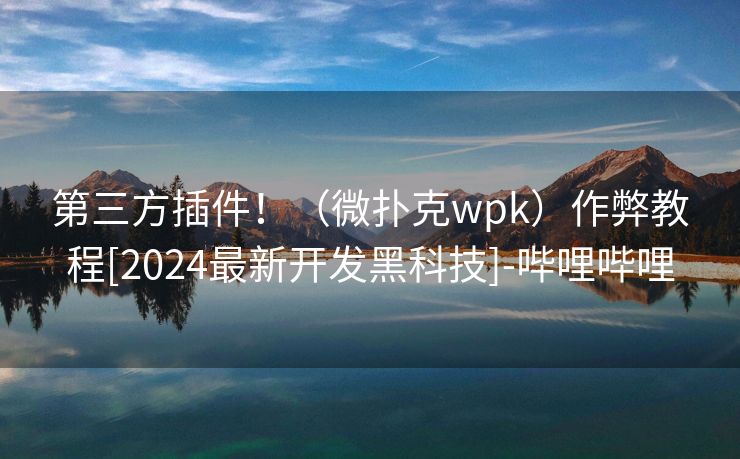 第三方插件！（微扑克wpk）作弊教程[2024最新开发黑科技]-哔哩哔哩