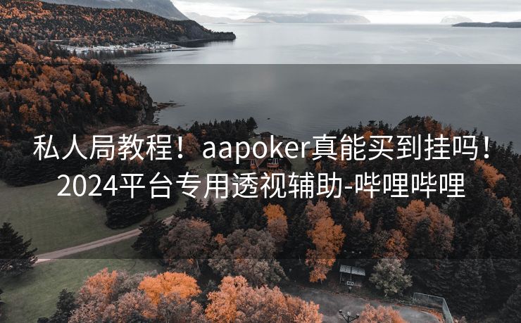 私人局教程！aapoker真能买到挂吗！2024平台专用透视辅助-哔哩哔哩