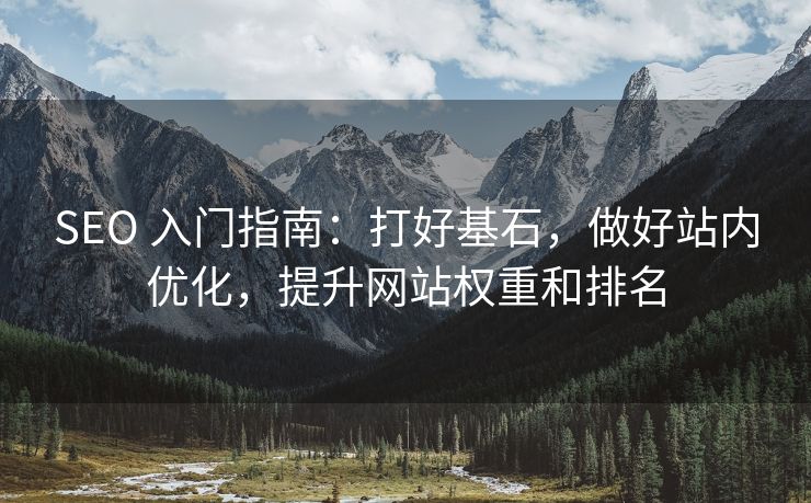 SEO 入门指南：打好基石，做好站内优化，提升网站权重和排名