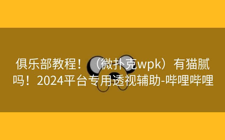 俱乐部教程！（微扑克wpk）有猫腻吗！2024平台专用透视辅助-哔哩哔哩