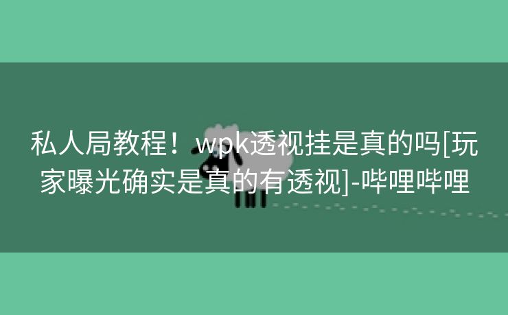 私人局教程！wpk透视挂是真的吗[玩家曝光确实是真的有透视]-哔哩哔哩