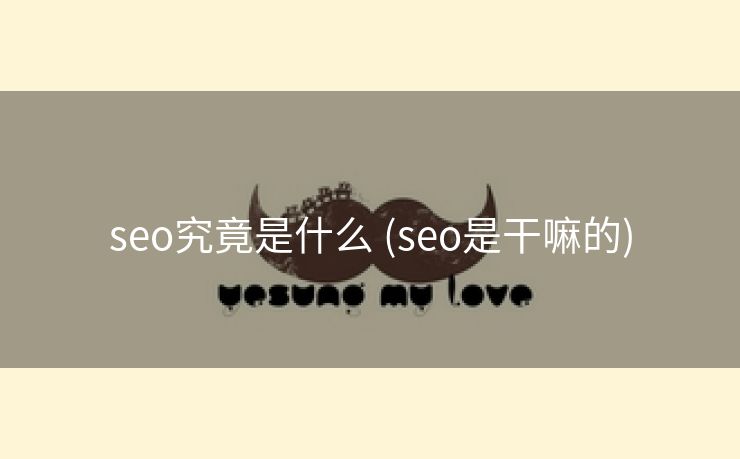seo究竟是什么 (seo是干嘛的)