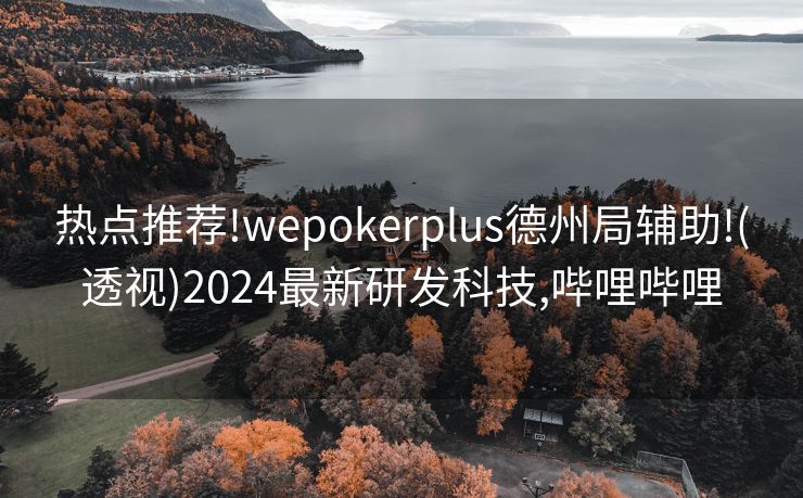 热点推荐!wepokerplus德州局辅助!(透视)2024最新研发科技,哔哩哔哩