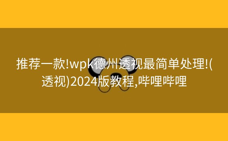 推荐一款!wpk德州透视最简单处理!(透视)2024版教程,哔哩哔哩
