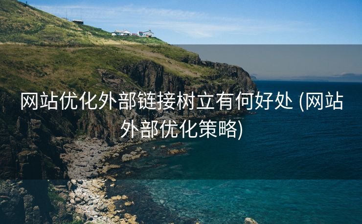 网站优化外部链接树立有何好处 (网站外部优化策略)