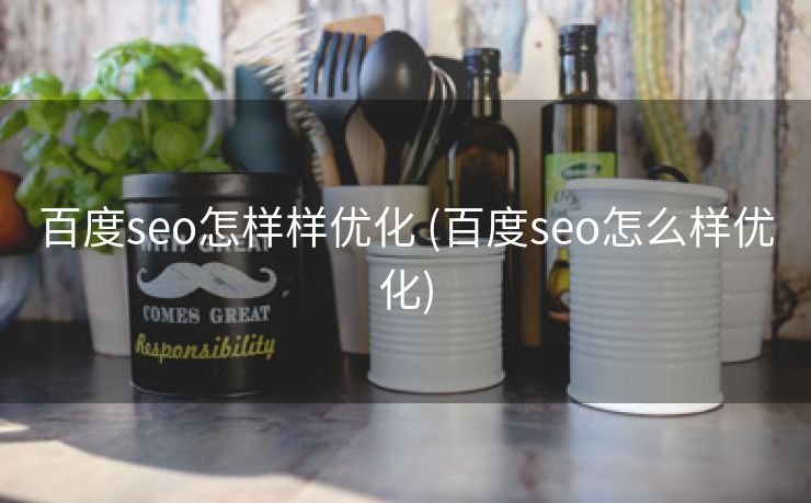 百度seo怎样样优化 (百度seo怎么样优化)