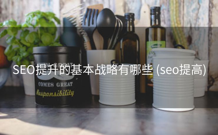 SEO提升的基本战略有哪些 (seo提高)