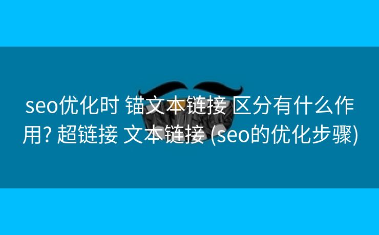 seo优化时 锚文本链接 区分有什么作用? 超链接 文本链接 (seo的优化步骤)