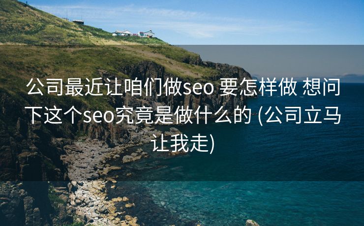 公司最近让咱们做seo 要怎样做 想问下这个seo究竟是做什么的 (公司立马让我走)