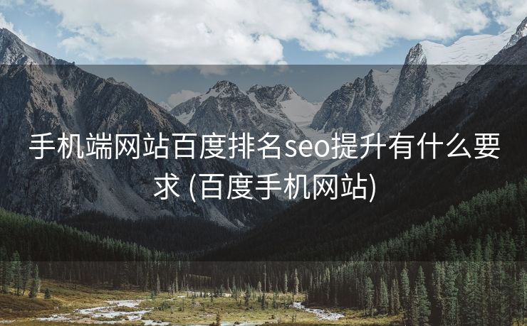 手机端网站百度排名seo提升有什么要求 (百度手机网站)