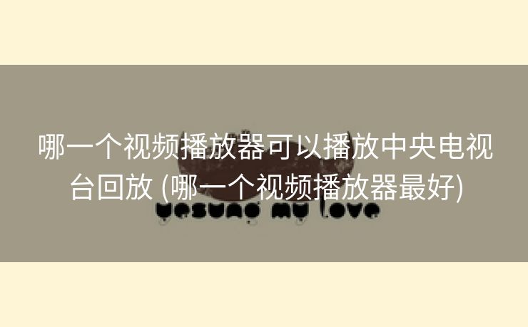 哪一个视频播放器可以播放中央电视台回放 (哪一个视频播放器最好)