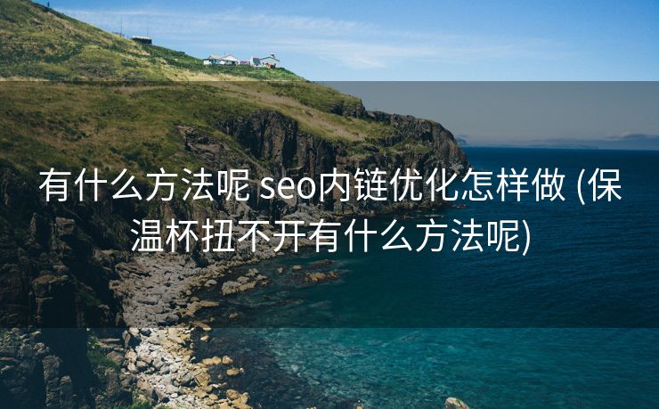 有什么方法呢 seo内链优化怎样做 (保温杯扭不开有什么方法呢)