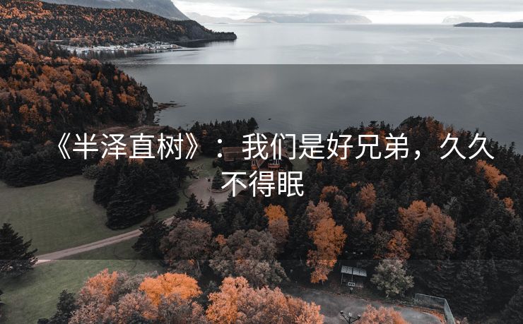 《半泽直树》：我们是好兄弟，久久不得眠