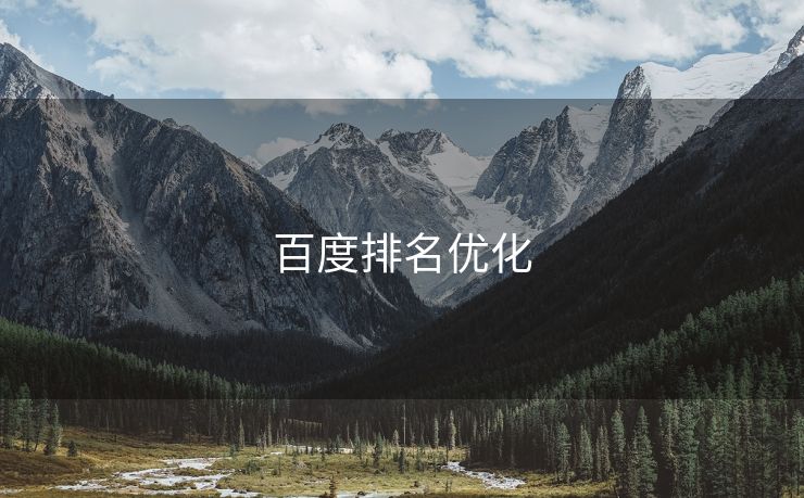 百度排名优化