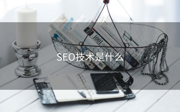 SEO技术是什么
