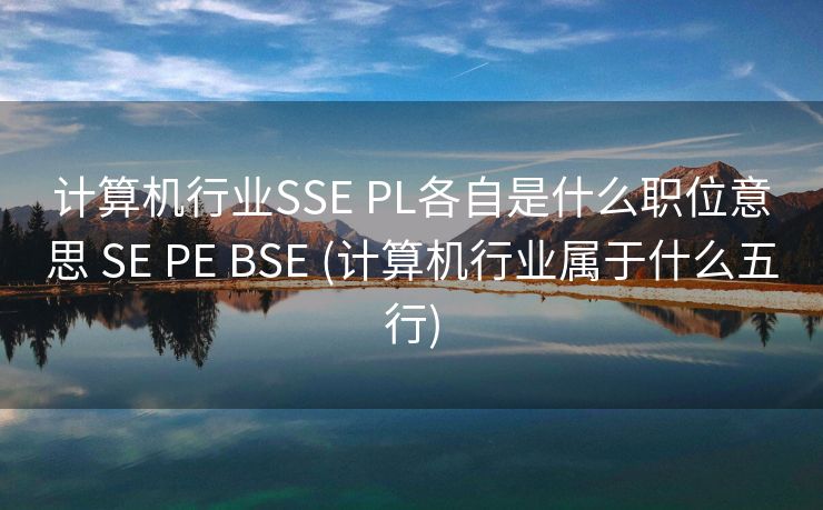 计算机行业SSE PL各自是什么职位意思 SE PE BSE (计算机行业属于什么五行)