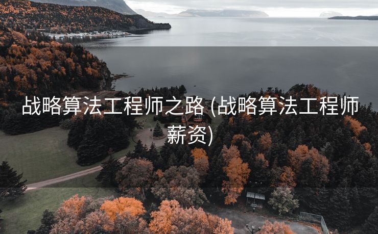 战略算法工程师之路 (战略算法工程师薪资)