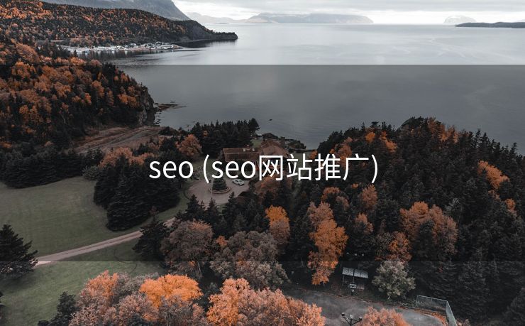 seo (seo网站推广)