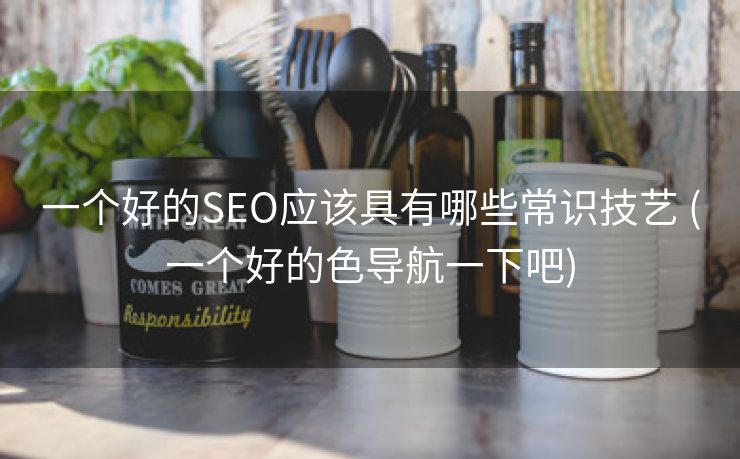一个好的SEO应该具有哪些常识技艺 (一个好的色导航一下吧)