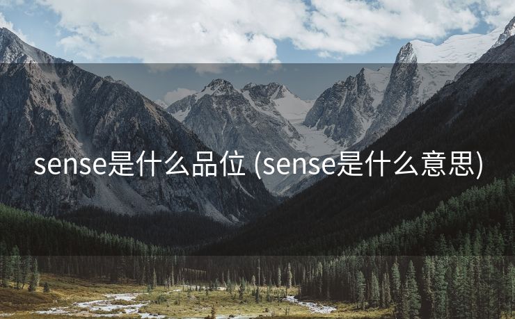 sense是什么品位 (sense是什么意思)