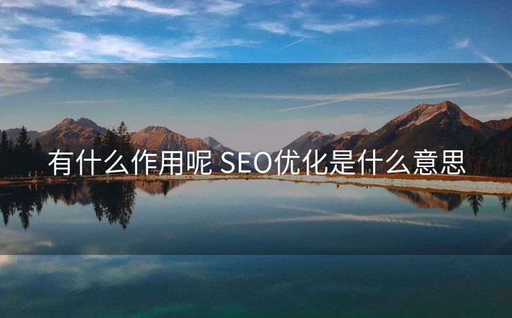 有什么作用呢 SEO优化是什么意思