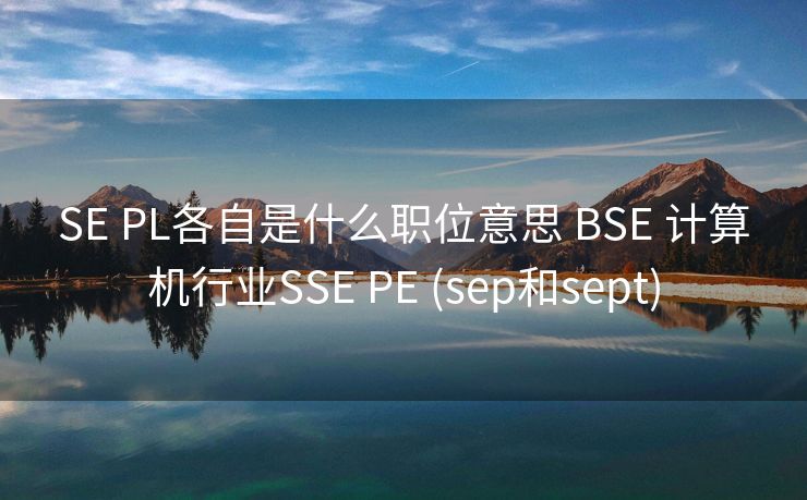 SE PL各自是什么职位意思 BSE 计算机行业SSE PE (sep和sept)