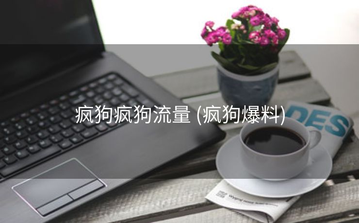 疯狗疯狗流量 (疯狗爆料)