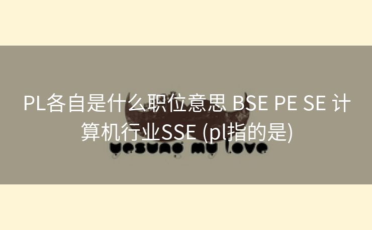 PL各自是什么职位意思 BSE PE SE 计算机行业SSE (pl指的是)